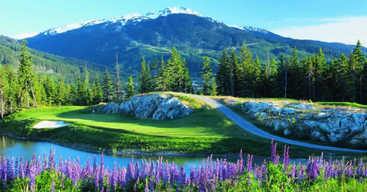 Bright Suite At Ski In/Out Glacier Lodge! Whistler Bagian luar foto